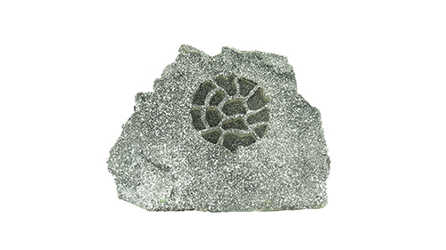 emc易倍·(中国)体育官方网站-EMC SPORTS