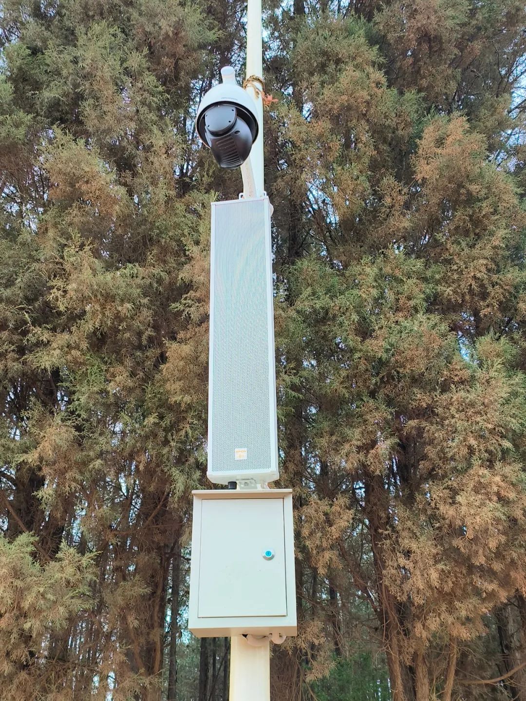 emc易倍·(中国)体育官方网站-EMC SPORTS