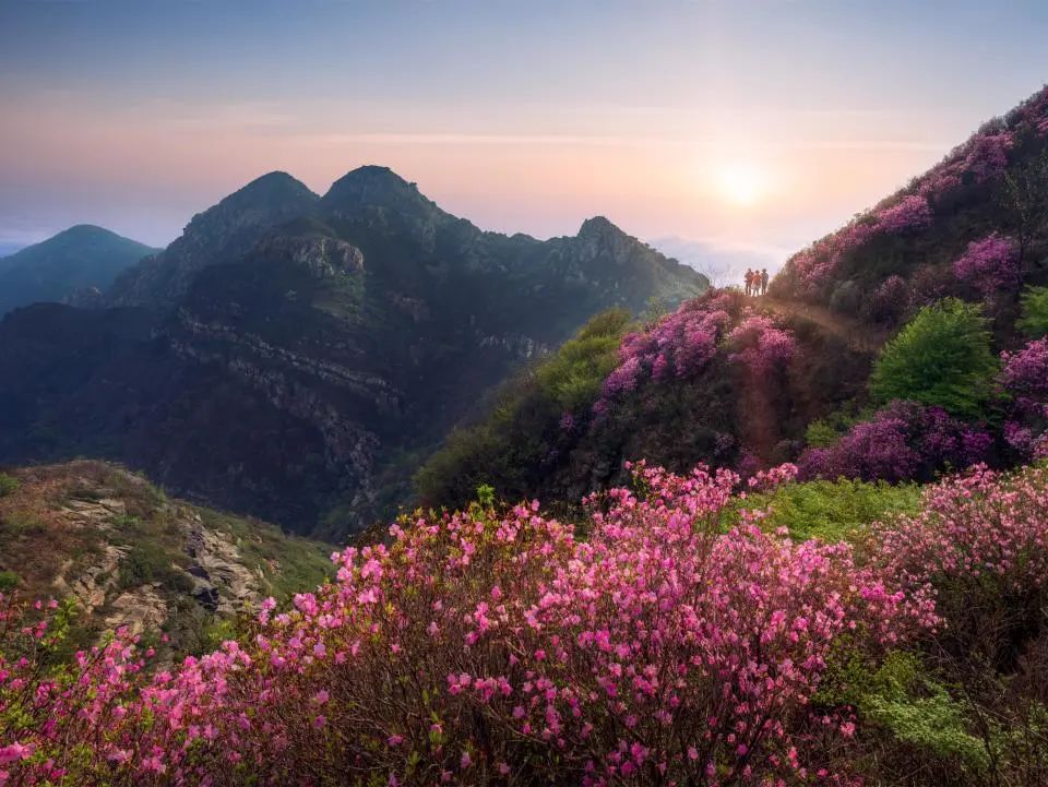 emc易倍·(中国)体育官方网站-EMC SPORTS