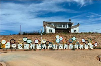 【案例故事】享誉天下的春城花都，emc易倍助力云南晋宁走出“芳香”致富路