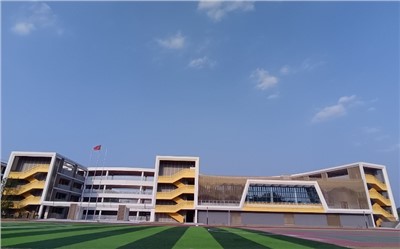 高清拾音手艺刷新：解决音质模糊挑战，打造清晰音频体验