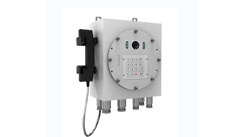 IP网络防爆可视对讲终端 